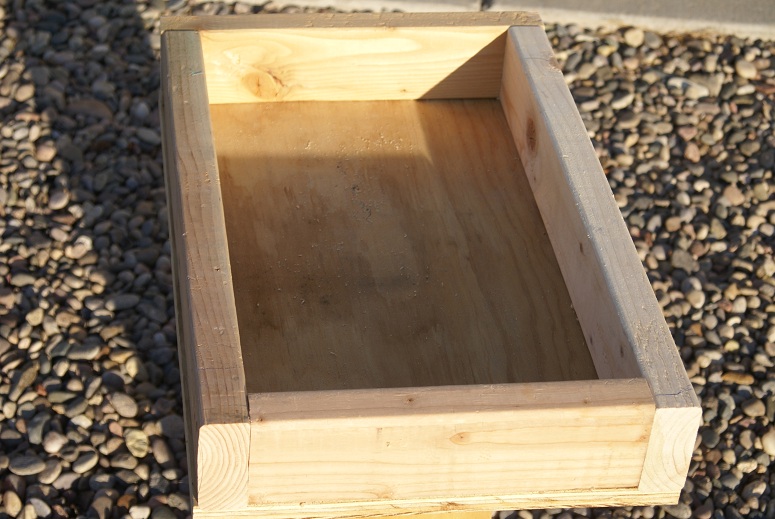 The Feeder Box