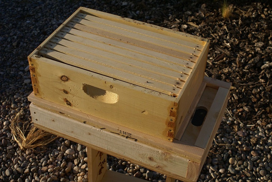 A hive box sitting on the feeder